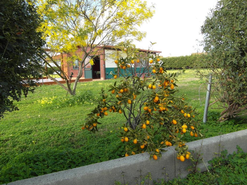 Agriturismo Il Gelsomino Ritrovato Milazzo Exterior foto