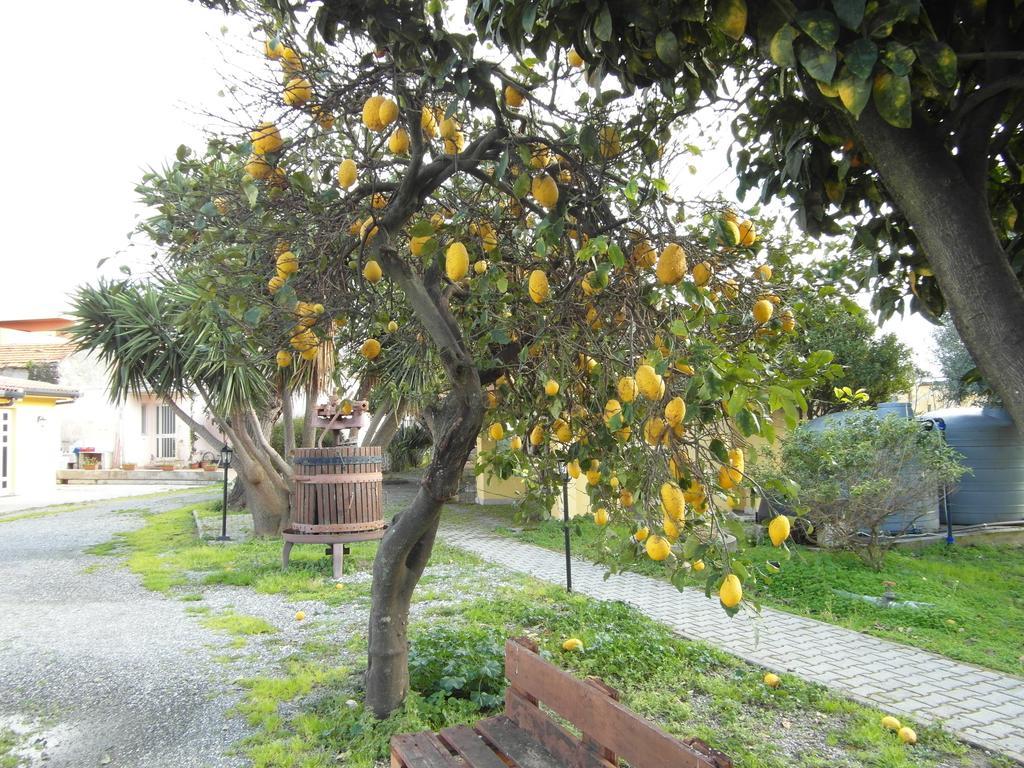 Agriturismo Il Gelsomino Ritrovato Milazzo Exterior foto