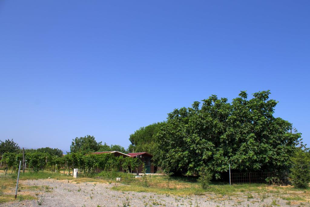 Agriturismo Il Gelsomino Ritrovato Milazzo Exterior foto