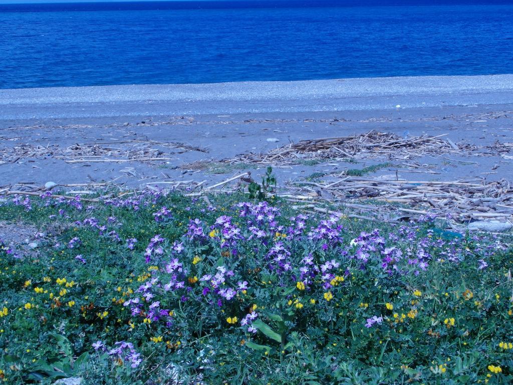 Agriturismo Il Gelsomino Ritrovato Milazzo Exterior foto