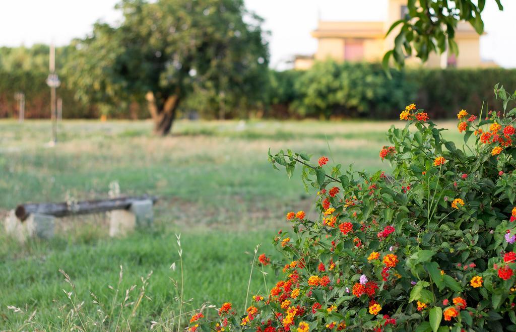 Agriturismo Il Gelsomino Ritrovato Milazzo Exterior foto